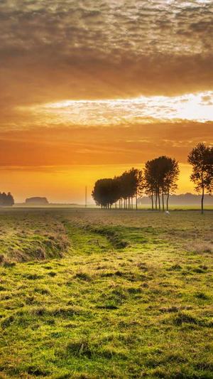 人肉米粉下载截图4